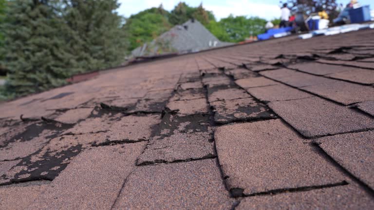Best Rubber Roofing (EPDM, TPO)  in Wellington, KS