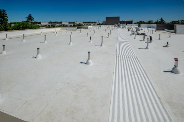 Best Solar Panel Roofing Installation  in Wellington, KS